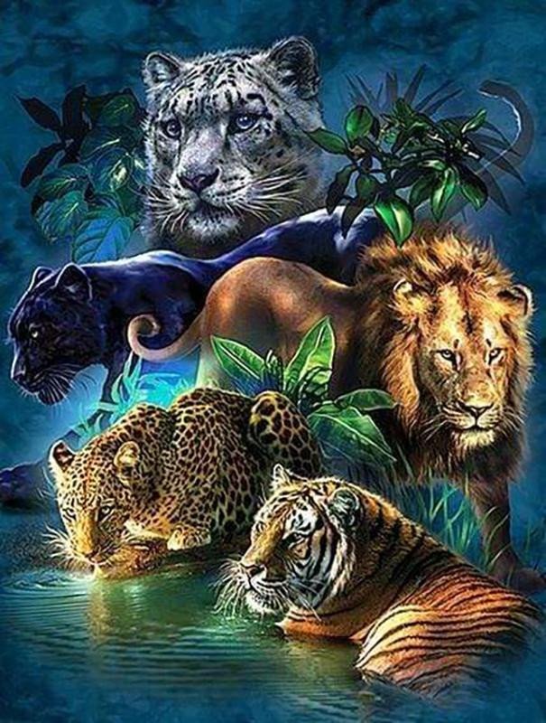 Levně Diamantové malování - Zvířata džungle 40 x 50 cm (s rámem)