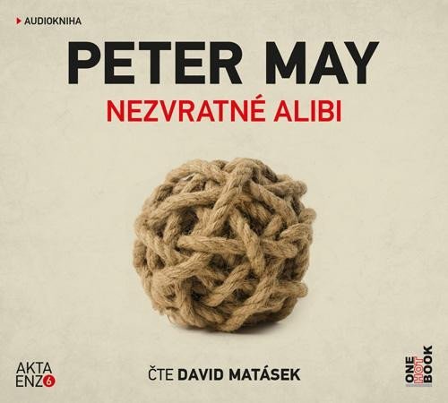 Nezvratné alibi - CDmp3 (Čte David Matásek) - Peter May