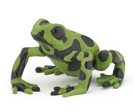 Levně Žába zelená