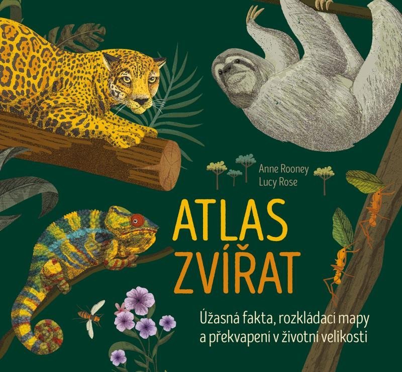 Levně Atlas zvířat - Anne Rooney