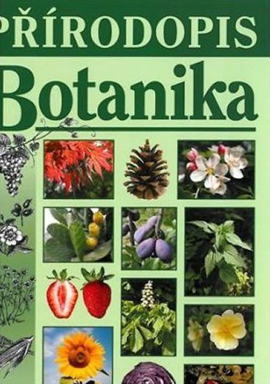 Levně Přírodopis - Botanika (učebnice) - Jana Skýbová