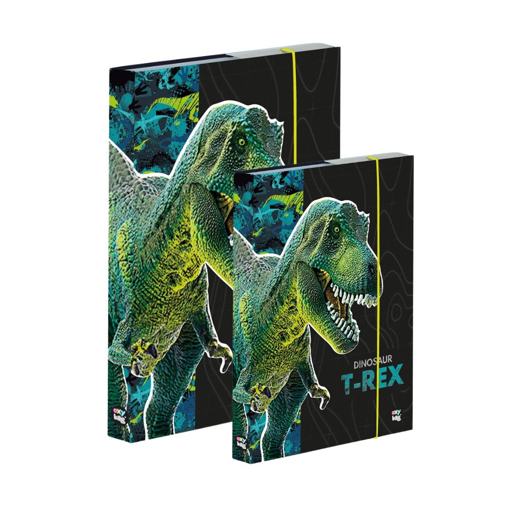 Levně Box A4+A5 Premium Dinosaurus