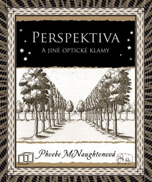Levně Perspektiva a jiné optické klamy, 2. vydání - Phoebe McNaughtonová
