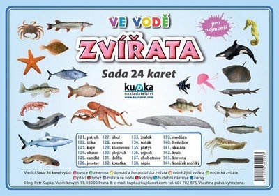 Levně Zvířata ve vodě - Sada 24 karet - Petr Kupka