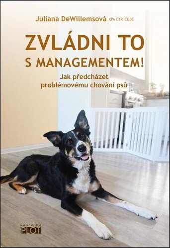 Zvládni to s managementem! - Juliana DeWillemsová