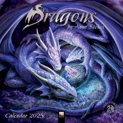 Levně Dragons by Anne Stokes Wall Calendar 2025 (Art Calendar) - Tree Studio Flame