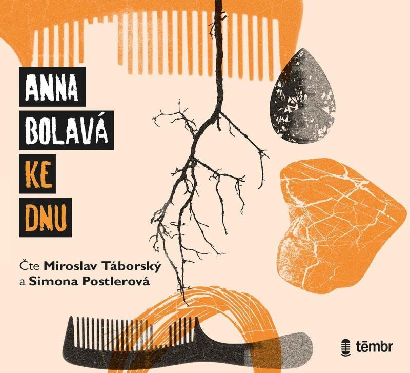 Ke dnu - audioknihovna - Anna Bolavá