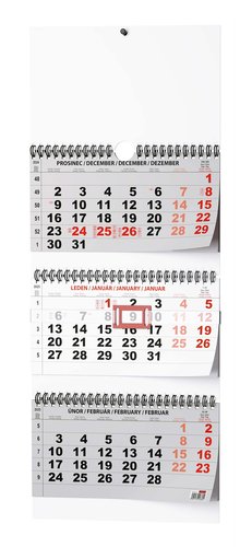Tříměsíční skládaný kalendář 2025 - nástěnný kalendář