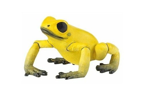 Levně Žába žlutá