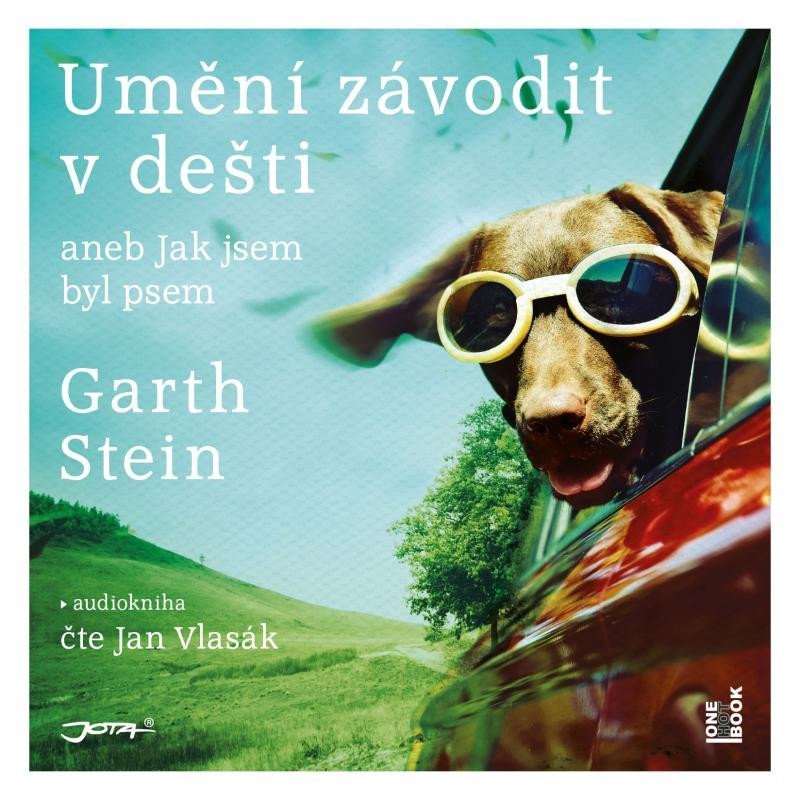 Umění závodit v dešti aneb Jak jsem byl psem - CDmp3 (Čte Martina Jan Vlasák) - Garth Stein