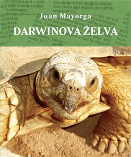 Levně Darwinova želva - Juan Mayorga