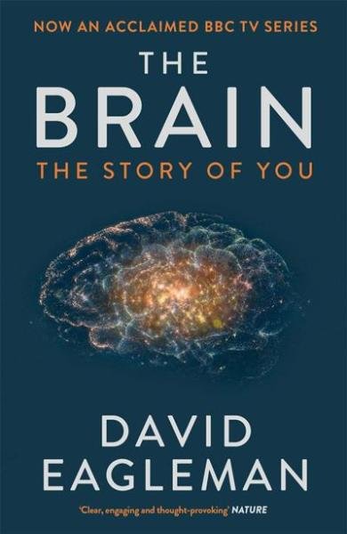 Product detail of The Brain, The Story of You - David Eagleman
