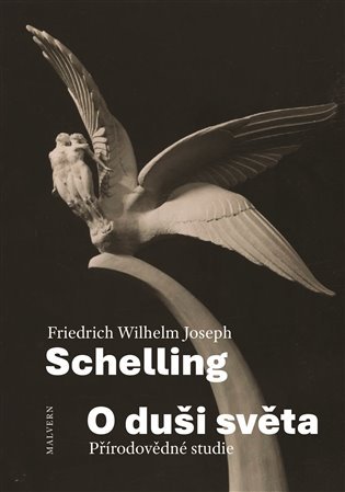 Levně O duši světa - Přírodovědné studie - Friedrich Wilhelm Joseph Schelling