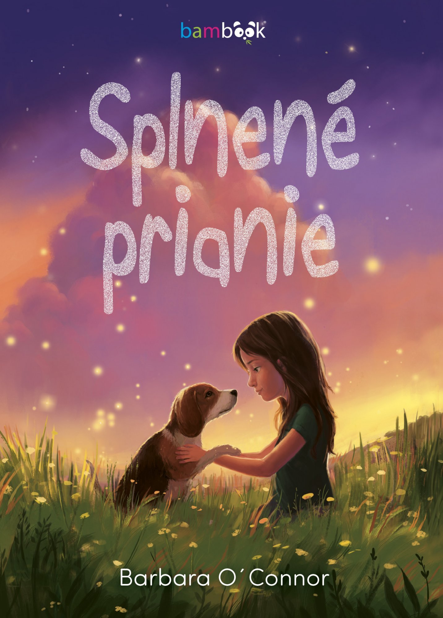 Levně Splnené prianie - Barbara O´Connor