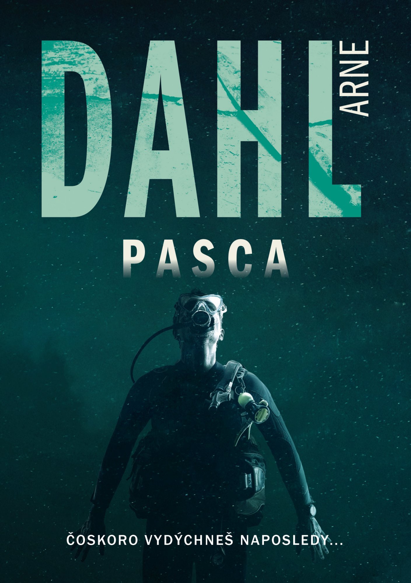 Levně Pasca - Arne Dahl