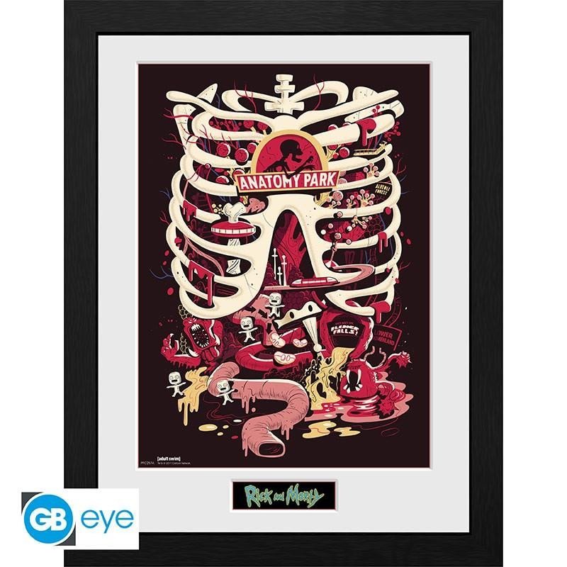 Levně Rick and Morty Zarámovaný plakát - Anatomy Park