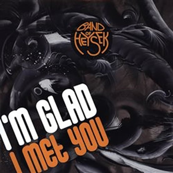 I'm Glad I Met You - 2LP - Band of Heysek