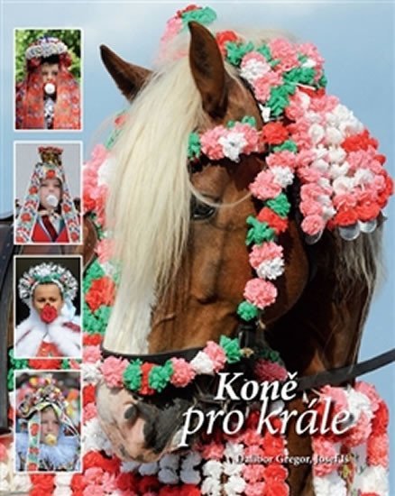 Koně pro krále - Dalibor Gregor