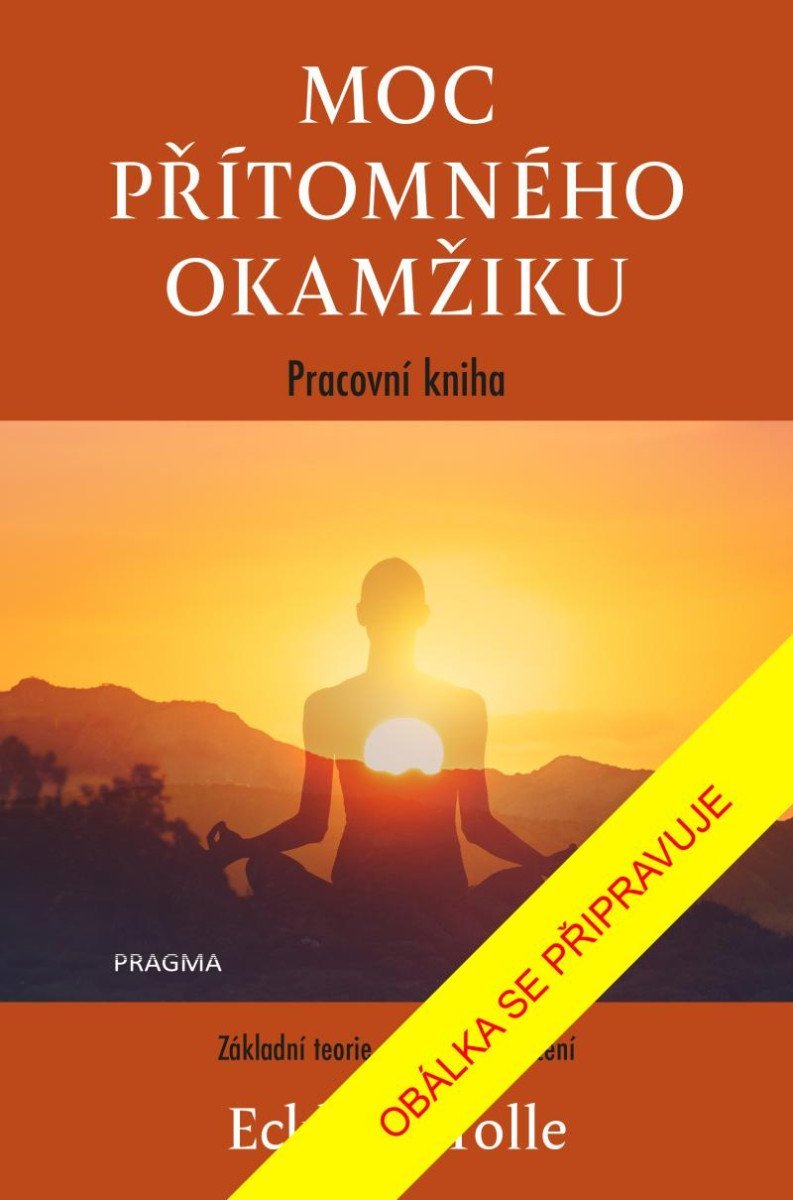 Levně Moc přítomného okamžiku – pracovní kniha, 3. vydání - Eckhart Tolle