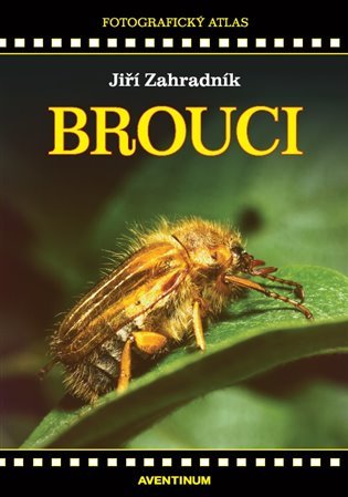 Levně Brouci - Fotografický atlas - Jiří Zahradník