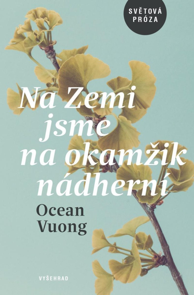 Levně Na Zemi jsme na okamžik nádherní - Ocean Vuong