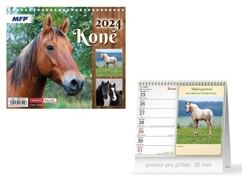 Levně Mini Koně 2024 - stolní kalendář