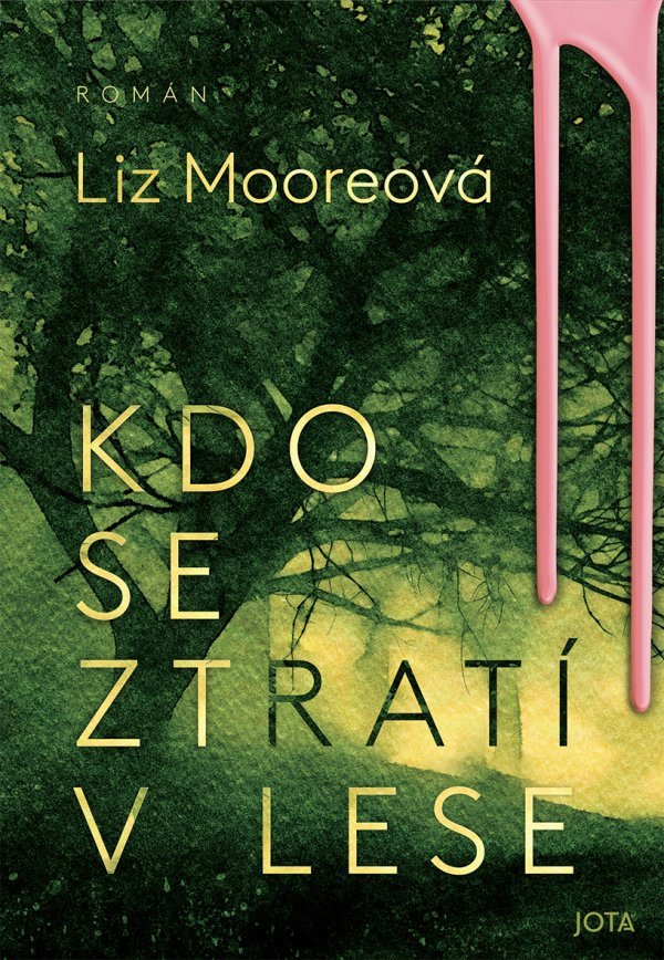 Levně Kdo se ztratí v lese - Liz Moore