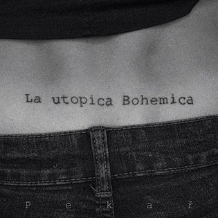 La utopica Bohemica (CD) - Pekař