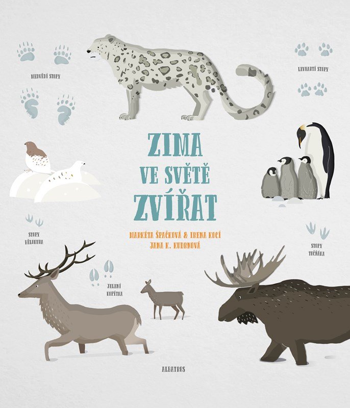 Levně Zima ve světě zvířat - Markéta Špačková