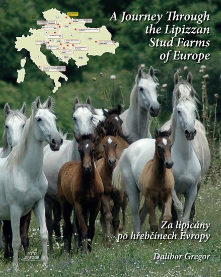 Levně Za lipicány po hřebčínech Evropy / A Journey Through the Lipizzan Stud Farms of Europe - Dalibor Gregor