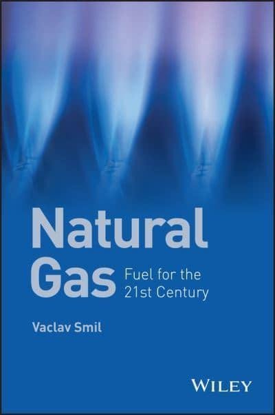 Levně Natural Gas: Fuel for the 21st Century - Václav Smil