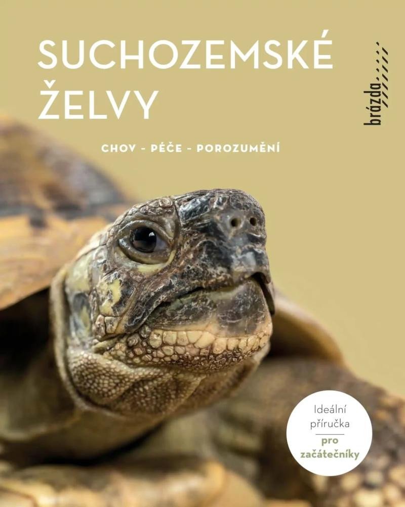 Levně Suchozemské želvy - Chov, péče, porozumění - Manfred Rogner