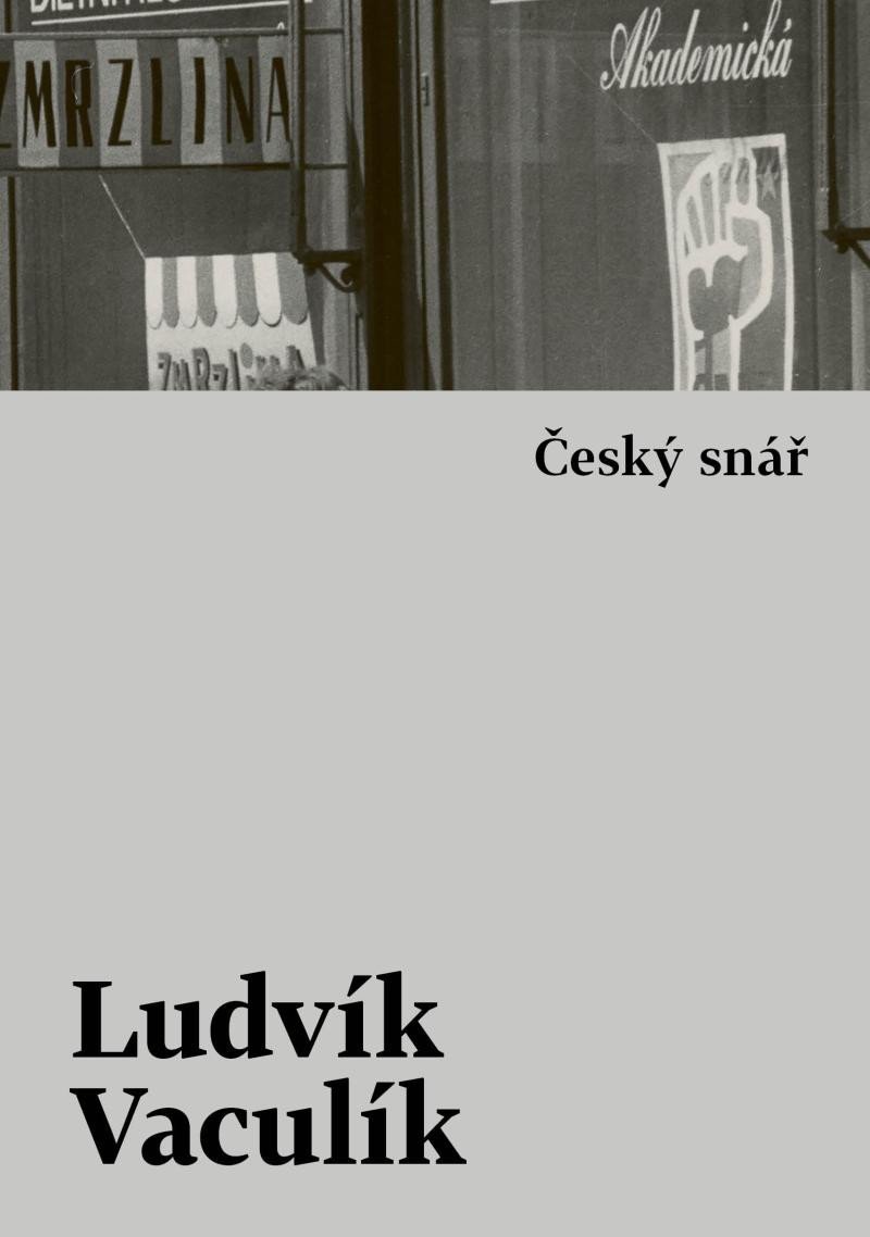 Levně Český snář s komentářovým výkladem - Ludvík Vaculík