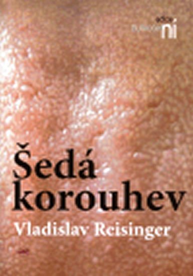 Levně Šedá korouhev - Vladislav Reisinger