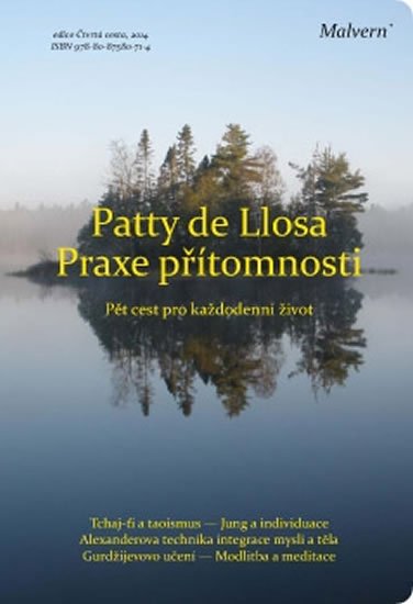 Praxe přítomnosti - Pět cest pro každodenní život - Patty de Llosa