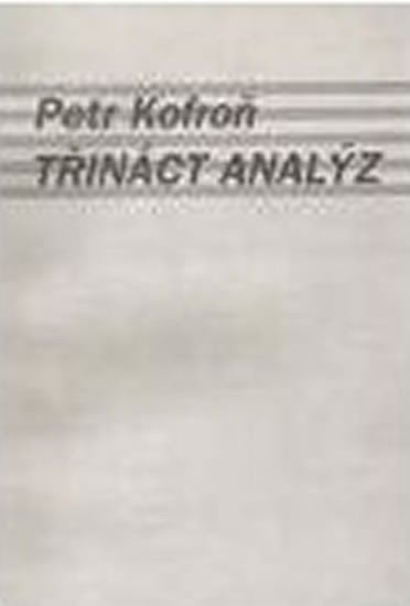 Levně Třináct analýz - Petr Kofroň