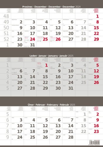 Levně Kalendář nástěnný 2025 - Tříměsíční šedý