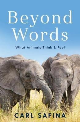 Levně Beyond Words : What Animals Think and Feel - Carl Safina