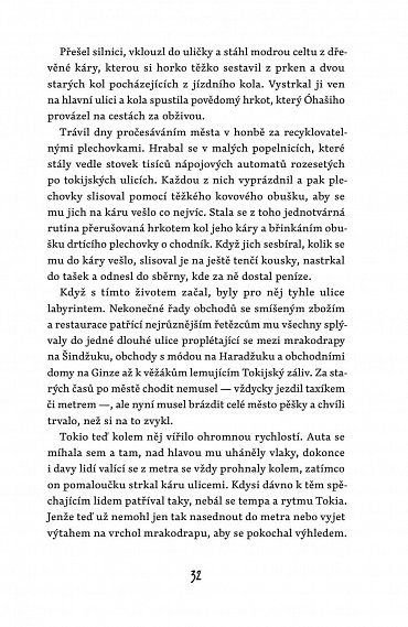 Náhled Kočka a město