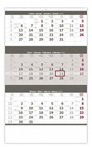 Kalendář nástěnný 2020 - Tříměsíční šedý