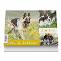 Psi a štěňata 2024 - stolní kalendář