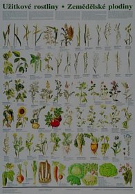 Plakát - Užitkové rostliny - zemědělské plodiny