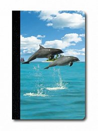 Zápisník - Úžaska - Delfíni