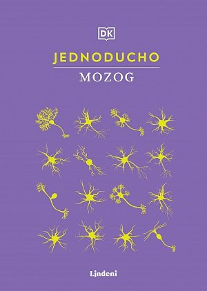 Jednoducho - Mozog