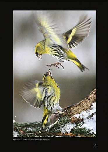 Náhled Prchavé okamžiky přírody - Fotoaparátem od jara do zimy
