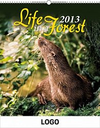 Kalendář 2013 - Život v lese praktik, 30 x  34 cm