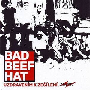 Uzdravením k zešílení - CD