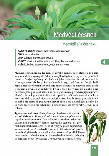 Náhled Jedlé město - Vyjděte do ulic! 36 zdraví prospěšných rostlin hned za humny a přes 100 receptů, díky nimž ušetříte a které vám udělají radost