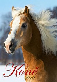 Koně - nástěnný kalendář 2012