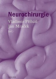 Neurochirurgie